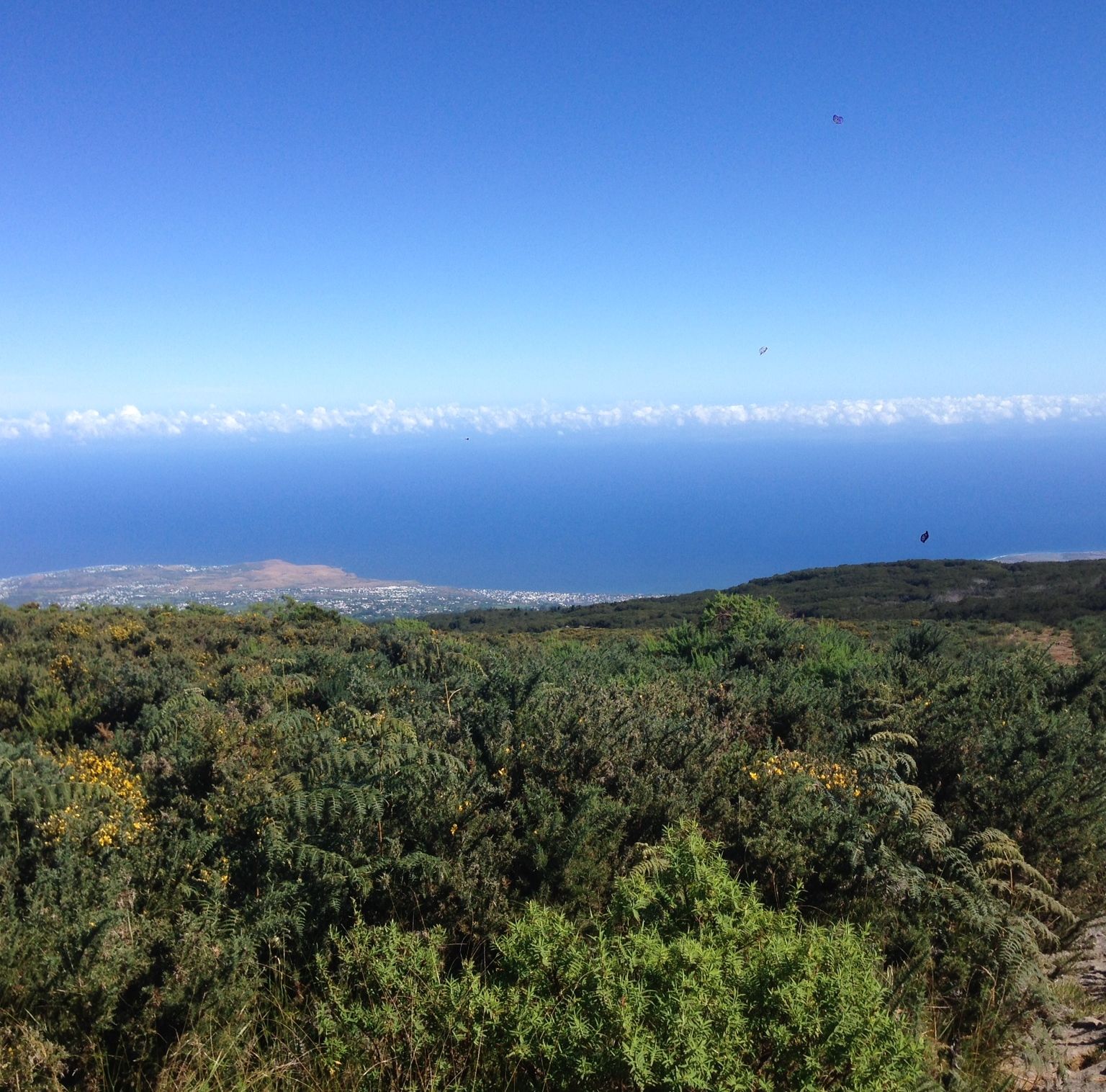 Partir à la Réunion