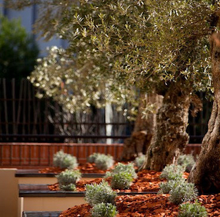 Un jardin éphémère à Aix en Provence