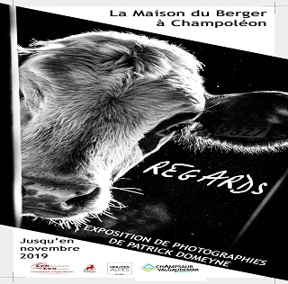 Exposition "Regards"